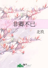 非卿不已